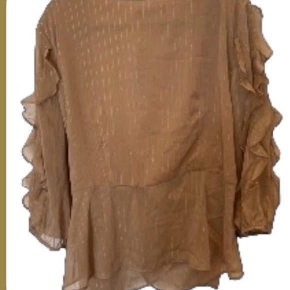 WOMENS BLOUSE ~NY&C~TAN GLITTERY WRAP~LONG SLEEVE BLOUSE~ XXL~NWT - Picture 6 of 8